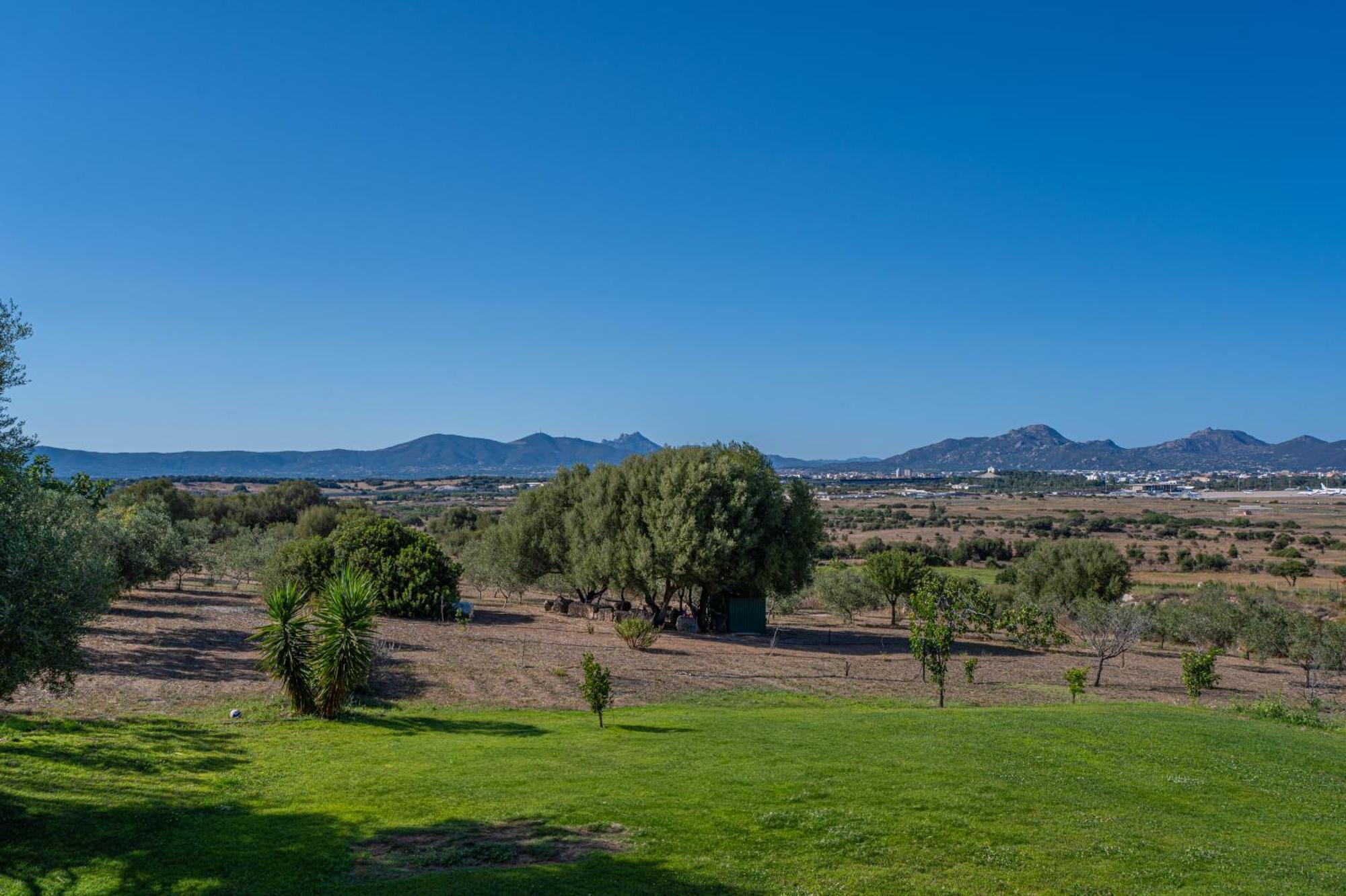 Villa Patrizia-Luxury House Olbia Exteriör bild